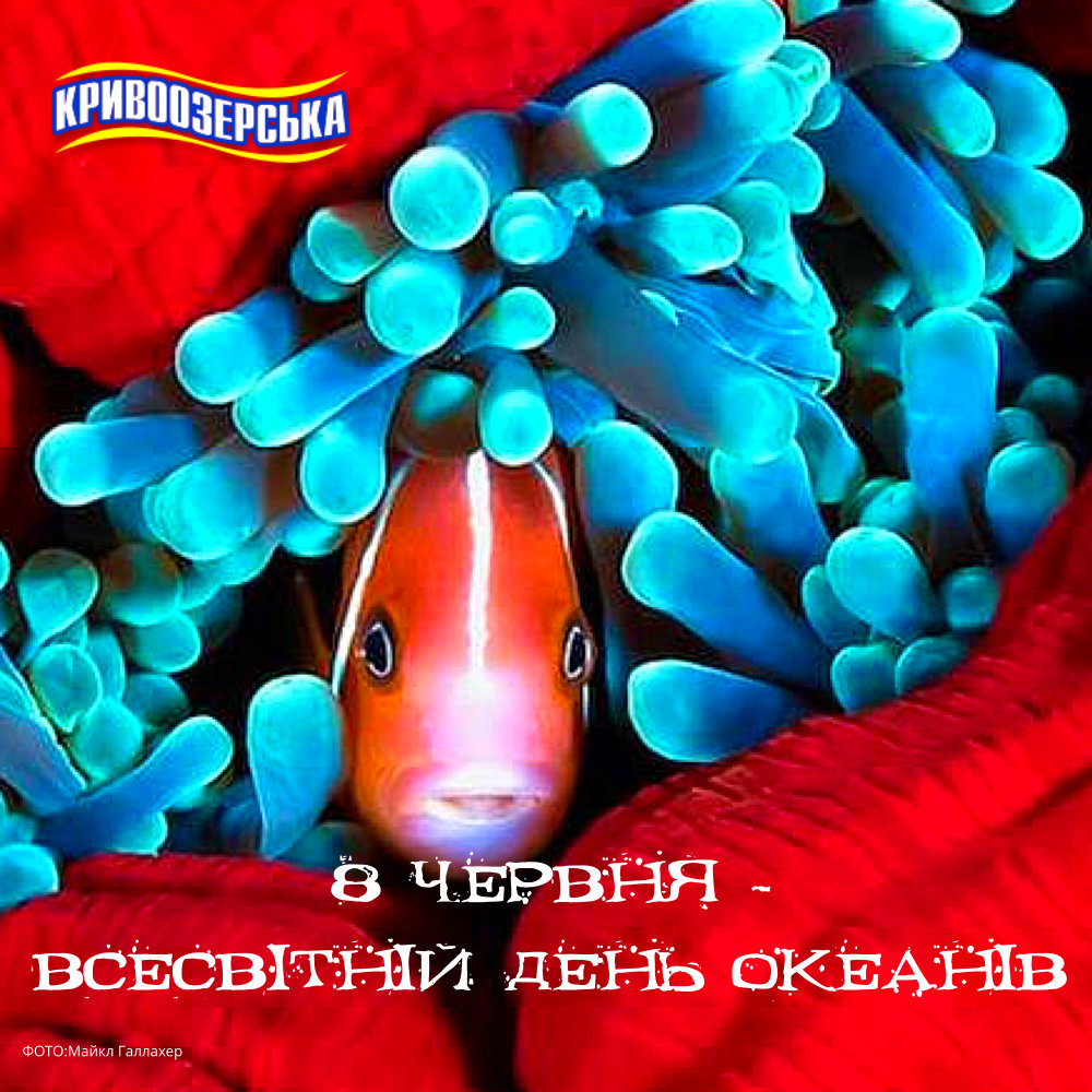 Прев'ю картинка для новини - 8 червня - Всесвітній день океанів